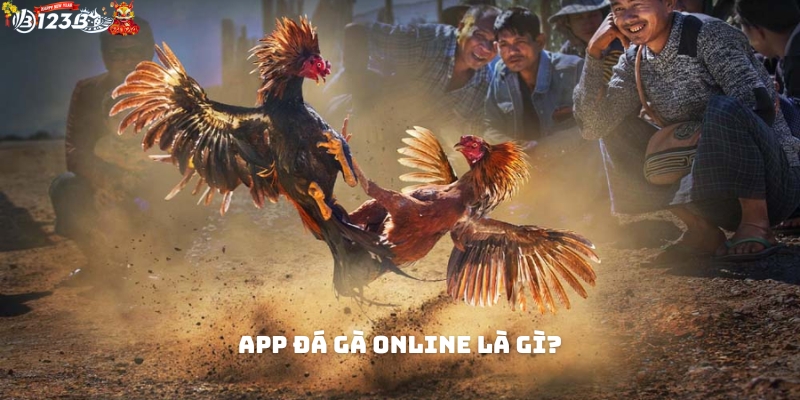 Tìm hiểu về app đá gà online