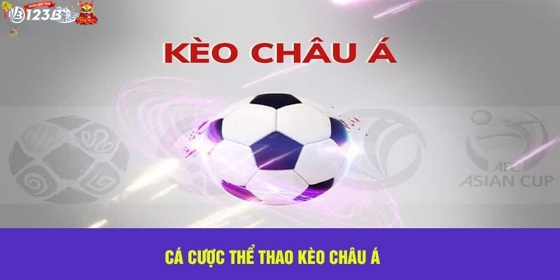 Tìm hiểu về loại hình cá cược thể thao châu Á