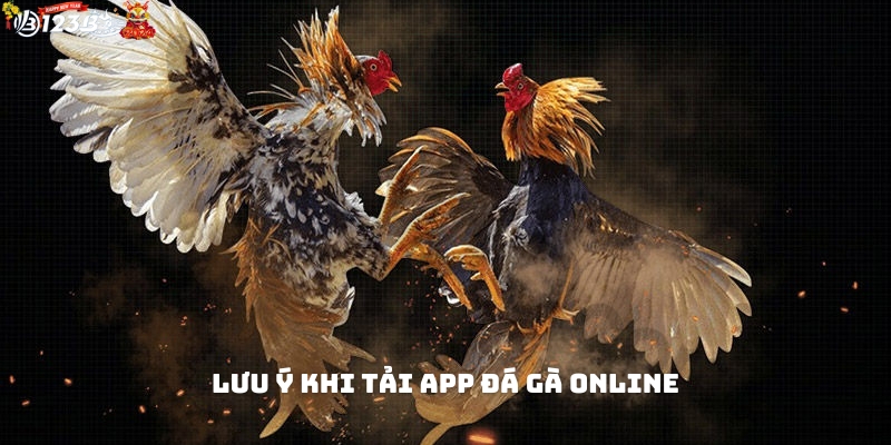 Lưu ý khi tải app đá gà online lần đầu