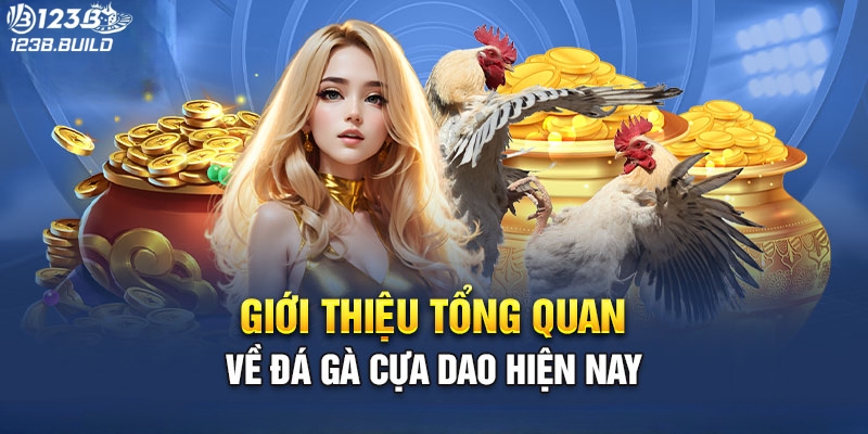 Đá gà cựa dao