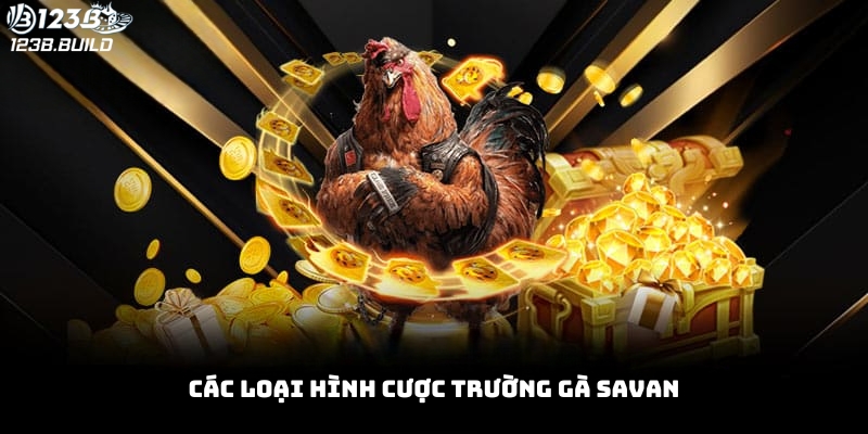 Các hình thức cược tại trường gà Savan